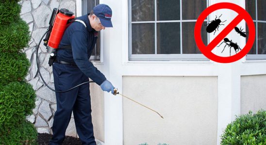 Avanos Kemirgen İlaçlama böcek ilaçlama ve haşere kontrolü — ilaclama-tr.com